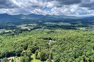 266 E Wright Rd, Blairsville, GA 30512 - Photo 87