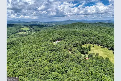 266 E Wright Road, Blairsville, GA 30512 - Photo 93