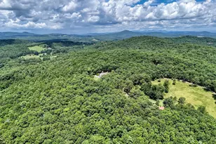 266 E Wright Rd, Blairsville, GA 30512 - Photo 91