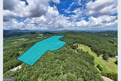 266 E Wright Road, Blairsville, GA 30512 - Photo 93