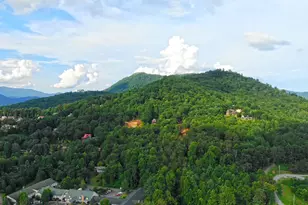 Lot 16 Whiskey Mountain Estates, Hiawassee, GA 30546 - Photo 7