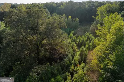 0 Bradfield Drive, Lagrange, GA 30240 - Photo 3