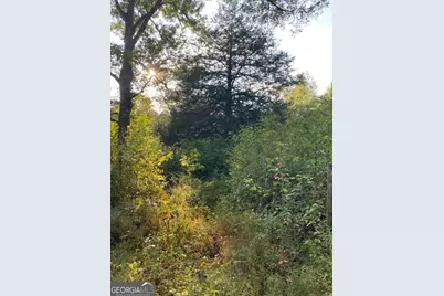 0 Bradfield Drive, Lagrange, GA 30240 - Photo 13