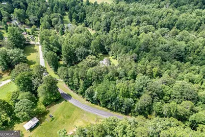 411 Piney Acres Road, Blue Ridge, GA 30513 - Photo 65