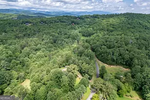 411 Piney Acres Rd, Blue Ridge, GA 30513 - Photo 69