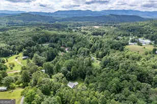 411 Piney Acres Rd, Blue Ridge, GA 30513 - Photo 67