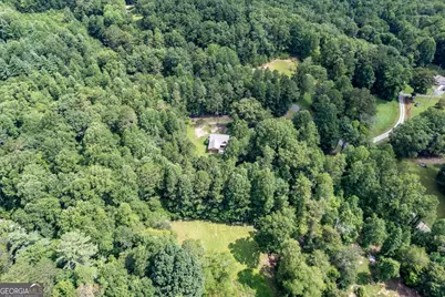 411 Piney Acres Road, Blue Ridge, GA 30513 - Photo 63