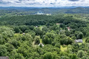 411 Piney Acres Rd, Blue Ridge, GA 30513 - Photo 71