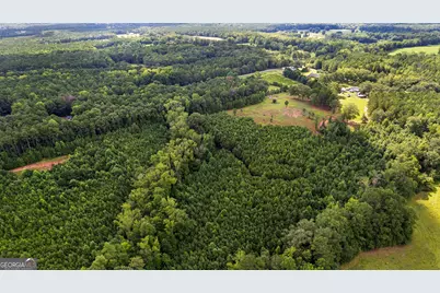 351 East Milner Road, Zebulon, GA 30295 - Photo 59