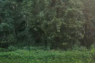 0 Conners Rd, Villa Rica, GA 30180 - Photo 1