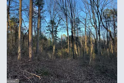 4638 Highway 63, Carnesville, GA 30521 - Photo 51