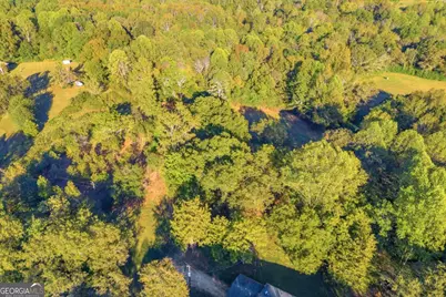 4638 Highway 63, Carnesville, GA 30521 - Photo 13