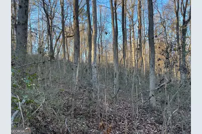 4638 Highway 63, Carnesville, GA 30521 - Photo 47