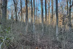 4638 Hwy 63, Carnesville, GA 30521 - Photo 47