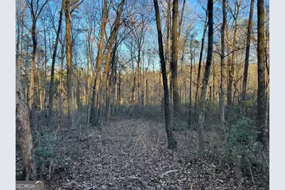 4638 Highway 63, Carnesville, GA 30521 - Photo 49