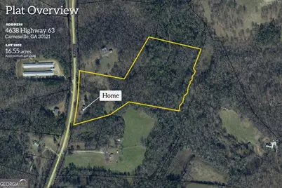 4638 Highway 63, Carnesville, GA 30521 - Photo 3