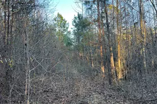 4638 Hwy 63, Carnesville, GA 30521 - Photo 53