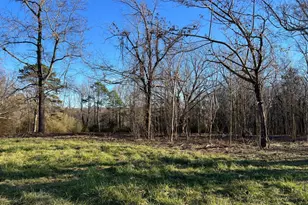 4638 Hwy 63, Carnesville, GA 30521 - Photo 41