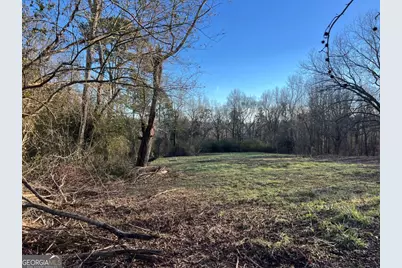 4638 Highway 63, Carnesville, GA 30521 - Photo 43