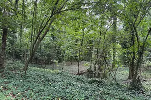 0 Turnbull Dr, Rome, GA 30161 - Photo 1