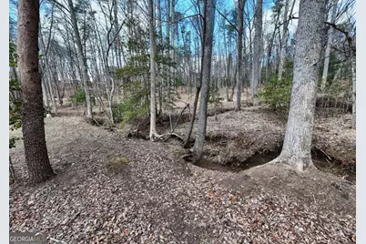 83 Nathans Path, Young Harris, GA 30582 - Photo 55