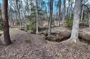 83 Nathans Path, Young Harris, GA 30582 - Photo 55