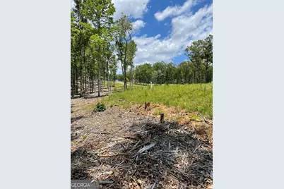 Lot 95 The Ridges, Morganton, GA 30560 - Photo 5