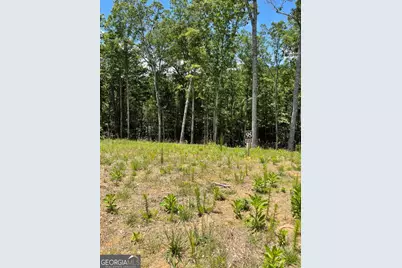 Lot 95 The Ridges, Morganton, GA 30560 - Photo 9