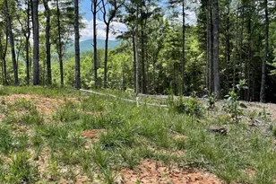 Lot 95 The Ridges, Morganton, GA 30560 - Photo 1