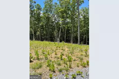 Lot 95 The Ridges, Morganton, GA 30560 - Photo 3