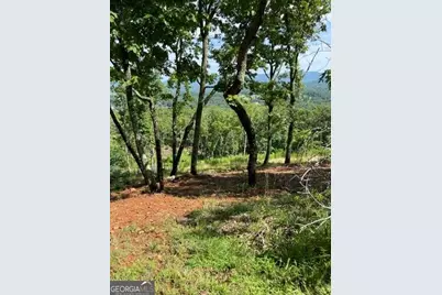 116 Highland Park, Blairsville, GA 30512 - Photo 17