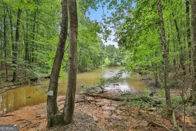 279 Doc Perry Road, Newnan, GA 30263 - Photo 57