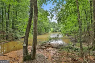 279 Doc Perry Rd, Newnan, GA 30263 - Photo 57