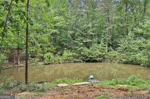 279 Doc Perry Rd, Newnan, GA 30263 - Photo 55