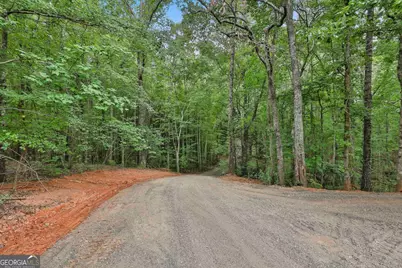 279 Doc Perry Road, Newnan, GA 30263 - Photo 61