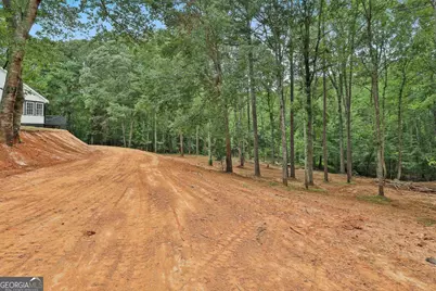 279 Doc Perry Road, Newnan, GA 30263 - Photo 59