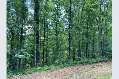 Lt1719 Rebekah Ridge Road, Talking Rock, GA 30175 - Photo 3