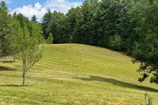 89 Simmons Rdg, Mineral Bluff, GA 30559 - Photo 13