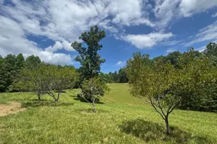 89 Simmons Rdg, Mineral Bluff, GA 30559 - Photo 11