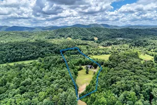 89 Simmons Rdg, Mineral Bluff, GA 30559 - Photo 3