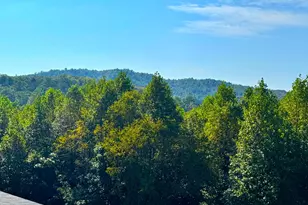 89 Simmons Rdg, Mineral Bluff, GA 30559 - Photo 23