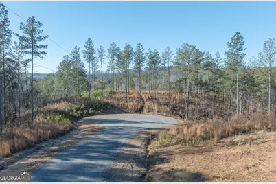 Lot 147 Creekside Crossing, Talking Rock, GA 30175 - Photo 5
