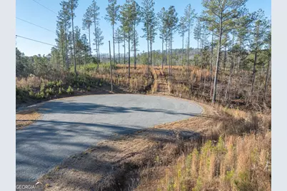 Lot 147 Creekside Crossing, Talking Rock, GA 30175 - Photo 7