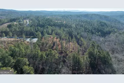 Lot 147 Creekside Crossing, Talking Rock, GA 30175 - Photo 11