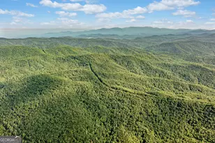 Tract 67 Falls Trail, Jasper, GA 30143 - Photo 1