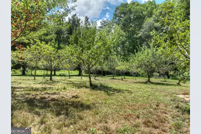 3760 Devils Den Road, Epworth, GA 30541 - Photo 41