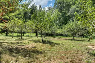 3760 Devils Den Rd, Epworth, GA 30541 - Photo 41