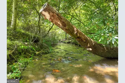 3760 Devils Den Road, Epworth, GA 30541 - Photo 45