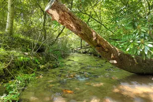 3760 Devils Den Rd, Epworth, GA 30541 - Photo 45