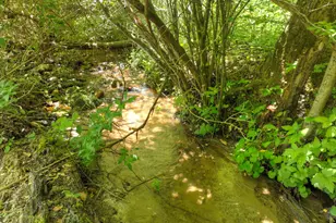 3760 Devils Den Rd, Epworth, GA 30541 - Photo 43